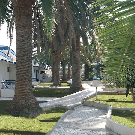 Hotel Gabbiano Сан-Домино Экстерьер фото